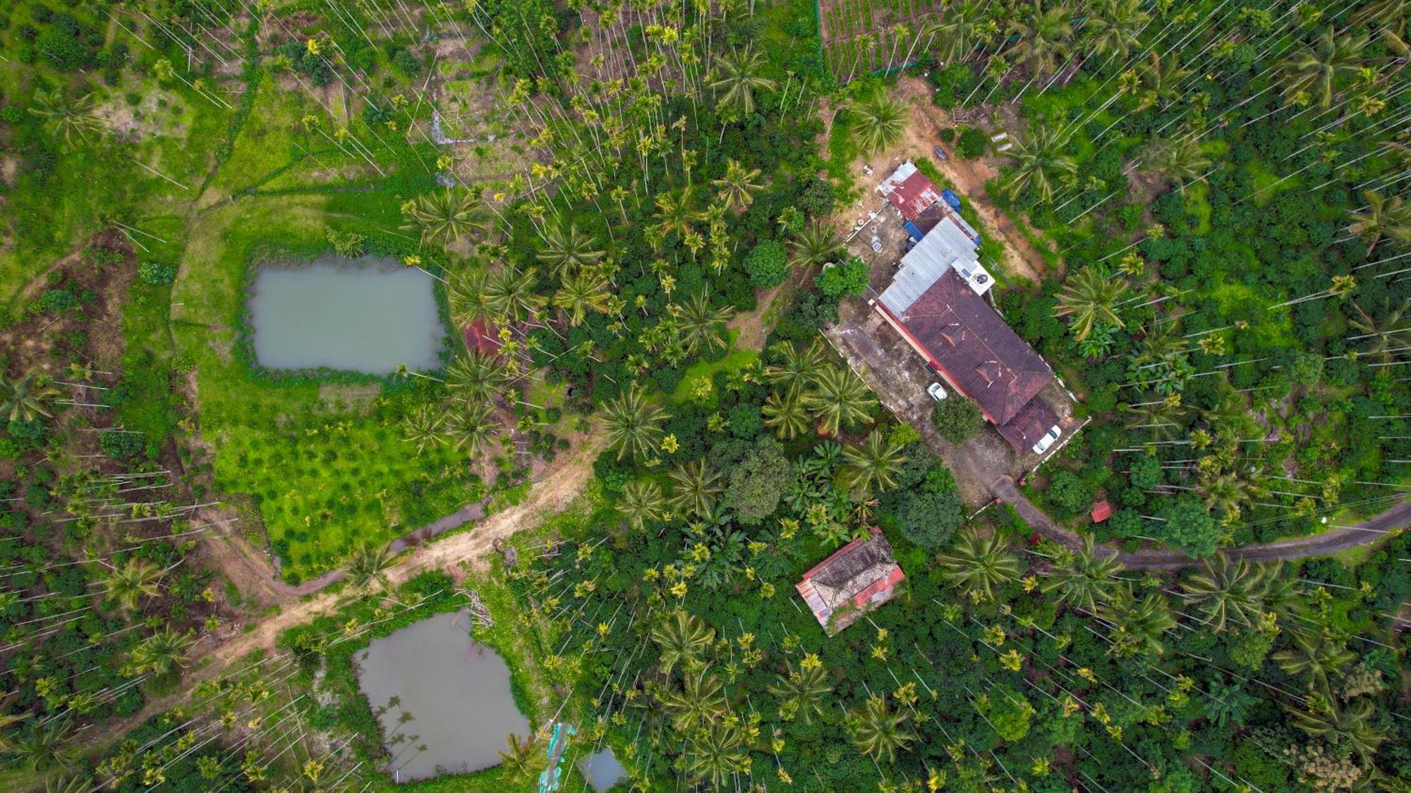 Wayanad Palm Grove Retreat G Floor Sultan Bathery Exterior foto
