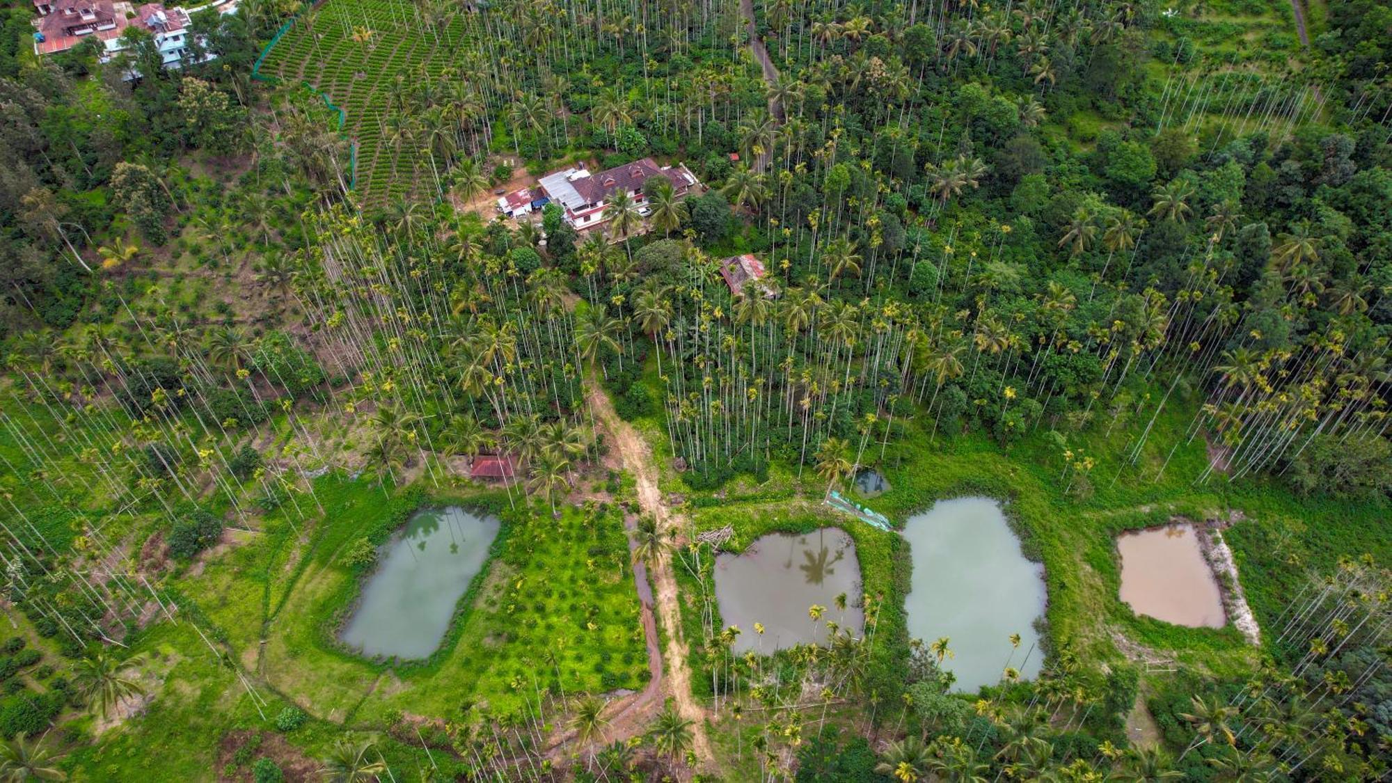 Wayanad Palm Grove Retreat G Floor Sultan Bathery Exterior foto