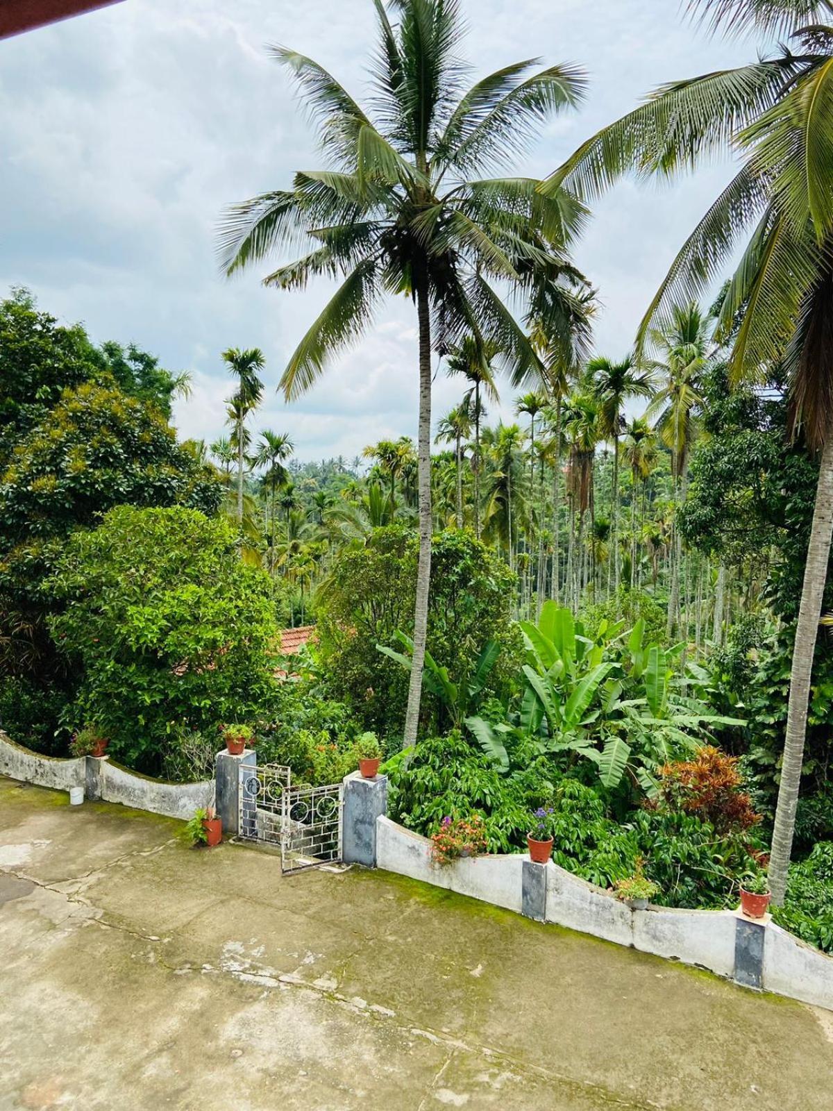 Wayanad Palm Grove Retreat G Floor Sultan Bathery Exterior foto